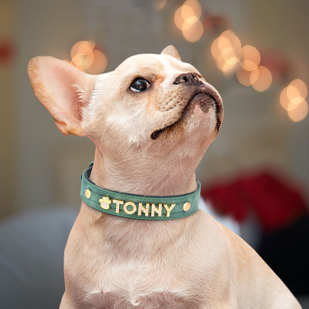 Premium veganes Leder Hundehalsband mit Personalisierung | Comfort Glitter