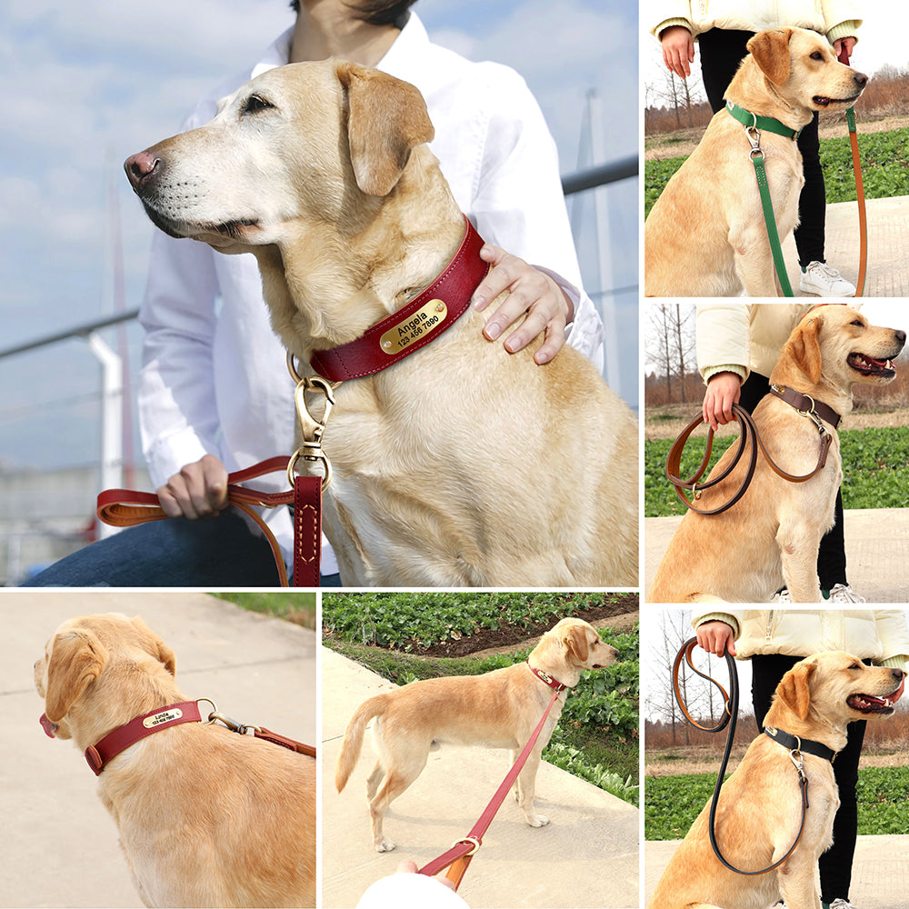 Premium Set Echtleder Hundehalsband und Leine mit Personalisierung | Luxury