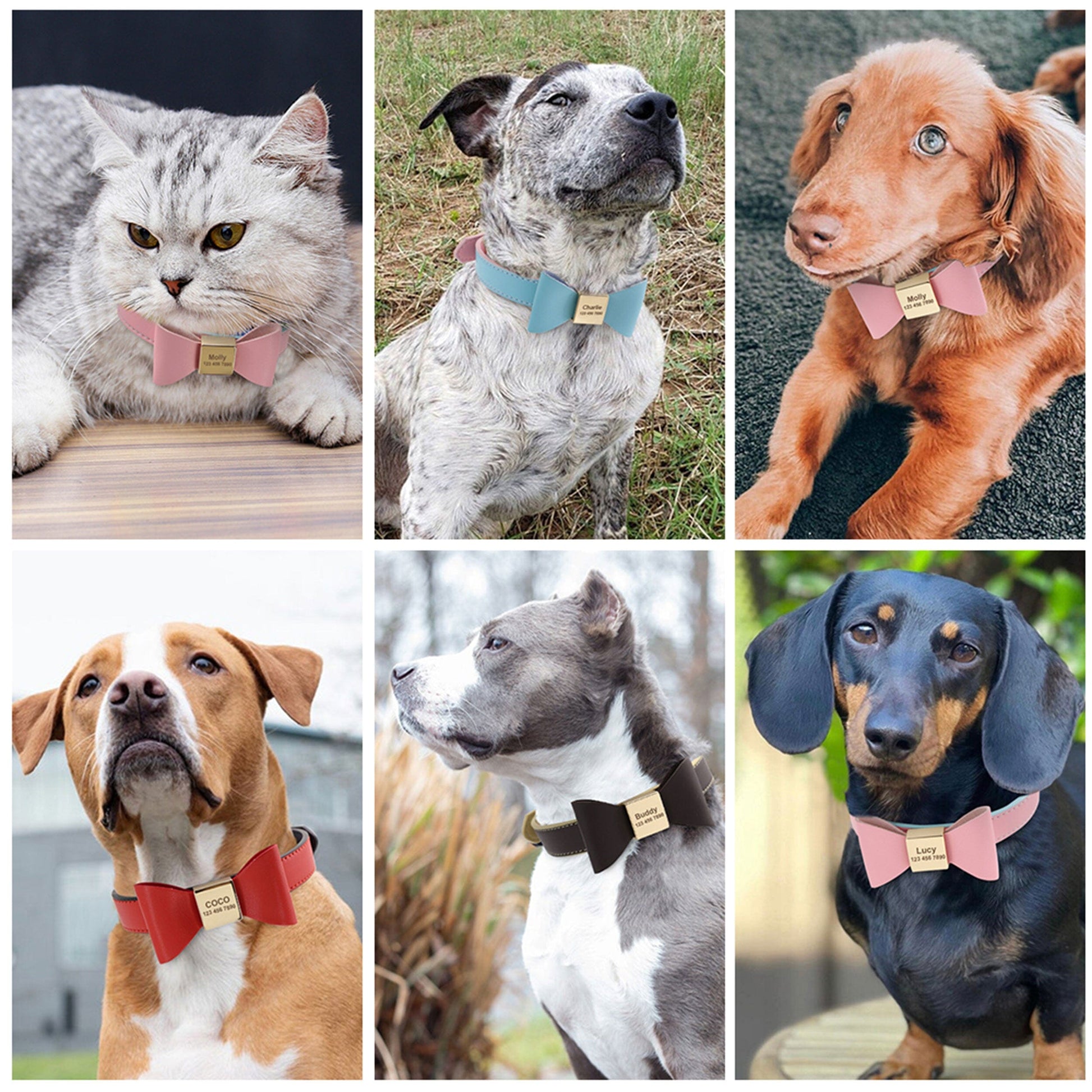 Premium Echtleder Hundehalsband mit Personalisierung | Bowknot Halsband Mein Shop 