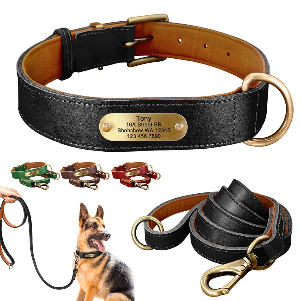 Premium Set Echtleder Hundehalsband und Leine mit Personalisierung | Luxury Halsband und Leine Mein Shop Schwarz XS 